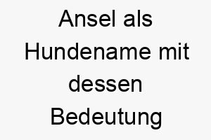 ansel als hundename mit dessen bedeutung 16920