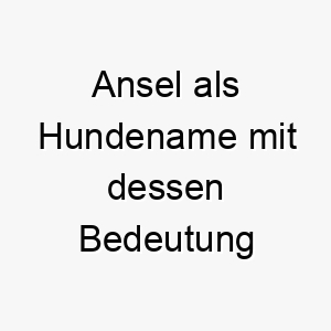 ansel als hundename mit dessen bedeutung 16920