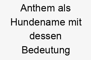 anthem als hundename mit dessen bedeutung 17048