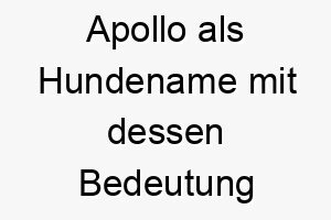 apollo als hundename mit dessen bedeutung 2 17049