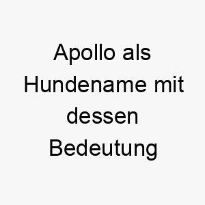 apollo als hundename mit dessen bedeutung 2 17049