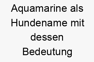 aquamarine als hundename mit dessen bedeutung 17050