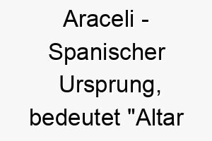 araceli spanischer ursprung bedeutet altar des himmels bedeutung als hundename ein ehrwuerdiger majestaetischer hund 12482