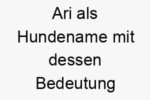 ari als hundename mit dessen bedeutung 16982