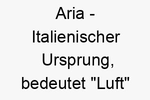 aria italienischer ursprung bedeutet luft oder melodie bedeutung als hundename ein leichter froehlicher hund oder ein hund mit melodischer stimme 12410