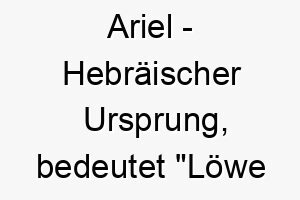 ariel hebraeischer ursprung bedeutet loewe gottes bedeutung als hundename ein mutiger und starker hund 12310