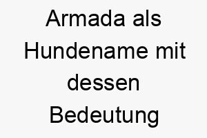 armada als hundename mit dessen bedeutung 17056