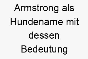 armstrong als hundename mit dessen bedeutung 17057