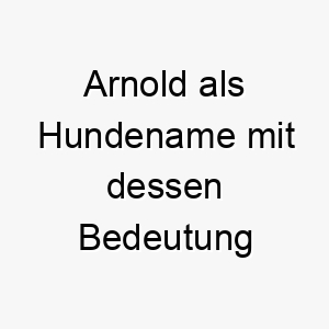 arnold als hundename mit dessen bedeutung 16984