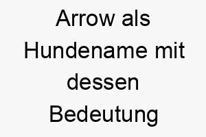 arrow als hundename mit dessen bedeutung 17058