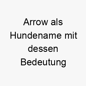 arrow als hundename mit dessen bedeutung 17058