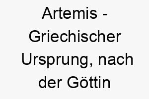 artemis griechischer ursprung nach der goettin der jagd benannt bedeutung als hundename ein geschickter kluger hund 12412