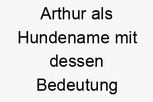 arthur als hundename mit dessen bedeutung 16985