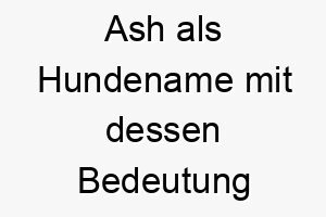 ash als hundename mit dessen bedeutung 16986