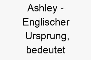 ashley englischer ursprung bedeutet aschebaum bedeutung als hundename ein starker robuster hund 12398