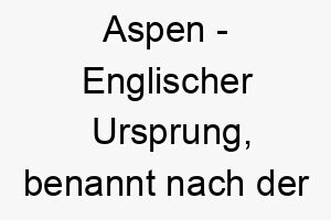 aspen englischer ursprung benannt nach der aspentanne bedeutung als hundename ein starkes robustes und schoenes tier 12485