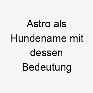 astro als hundename mit dessen bedeutung 17003