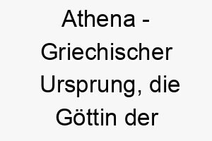 athena griechischer ursprung die goettin der weisheit bedeutung als hundename ein weiser und kluger hund 12312