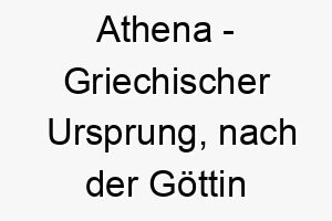 athena griechischer ursprung nach der goettin der weisheit benannt bedeutung als hundename ein kluger weiser hund 12399