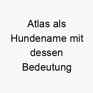 atlas als hundename mit dessen bedeutung 17060