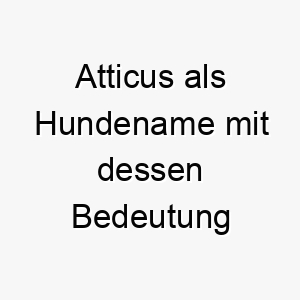 atticus als hundename mit dessen bedeutung 16991