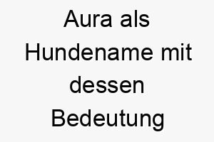 aura als hundename mit dessen bedeutung 17064