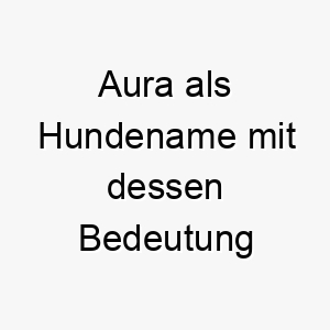 aura als hundename mit dessen bedeutung 17064