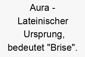 aura lateinischer ursprung bedeutet brise bedeutung als hundename ein sanfter ruhiger hund 12490