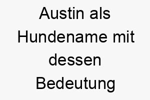 austin als hundename mit dessen bedeutung 16993