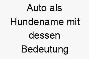 auto als hundename mit dessen bedeutung 17065