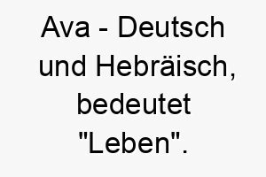 ava deutsch und hebraeisch bedeutet leben bedeutung als hundename ein lebendiger lebensfroher hund 12400