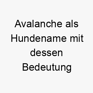 avalanche als hundename mit dessen bedeutung 17006