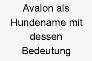 avalon als hundename mit dessen bedeutung 17067