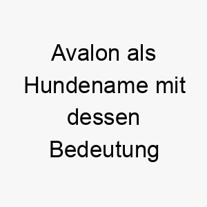 avalon als hundename mit dessen bedeutung 17067