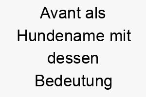 avant als hundename mit dessen bedeutung 17007