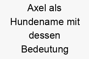 axel als hundename mit dessen bedeutung 2 17224