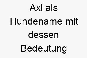 axl als hundename mit dessen bedeutung 16997