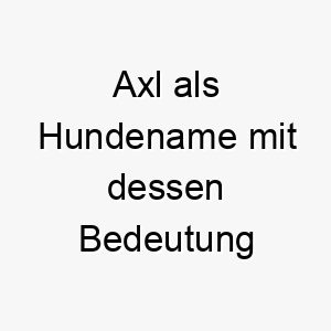 axl als hundename mit dessen bedeutung 16997