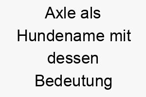 axle als hundename mit dessen bedeutung 17009