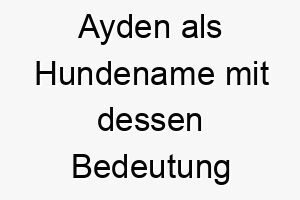 ayden als hundename mit dessen bedeutung 16998