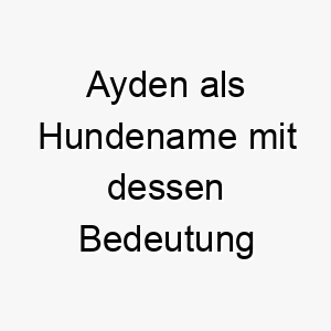 ayden als hundename mit dessen bedeutung 16998