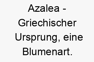 azalea griechischer ursprung eine blumenart bedeutung als hundename ein schoener und auffaelliger hund 12315