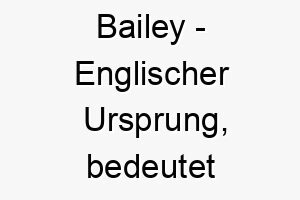 bailey englischer ursprung bedeutet verwalter bedeutung als hundename fuer einen zuverlaessigen loyalen hund 12899