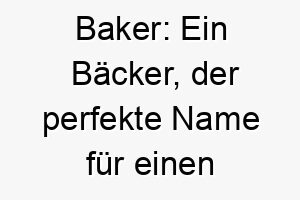 baker ein baecker der perfekte name fuer einen hund der gerne in der kueche herumschnueffelt 17311