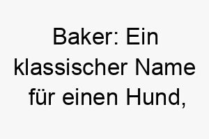 baker ein klassischer name fuer einen hund abgeleitet von dem alten beruf des baeckers 17332