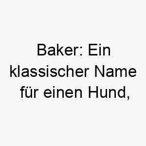 baker ein klassischer name fuer einen hund abgeleitet von dem alten beruf des baeckers 17332