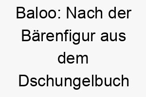 baloo nach der baerenfigur aus dem dschungelbuch benannt ein guter name fuer einen freundlichen und entspannten hund 17363