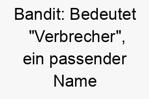 bandit bedeutet verbrecher ein passender name fuer einen frechen oder unabhaengigen hund 17352