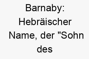 barnaby hebraeischer name der sohn des trostes bedeutet ein passender name fuer einen therapiehund oder einen sehr liebevollen hund 17337