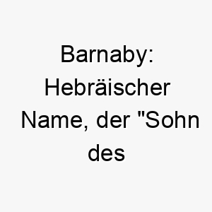 barnaby hebraeischer name der sohn des trostes bedeutet ein passender name fuer einen therapiehund oder einen sehr liebevollen hund 17337